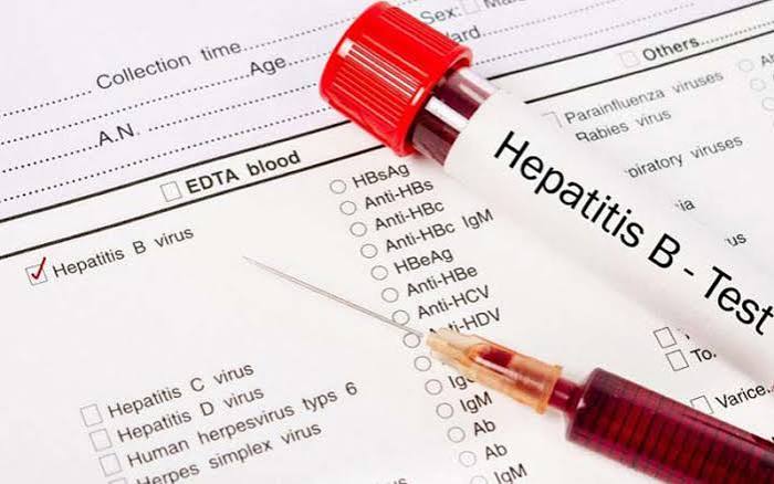 hepatitis-blood-tests-explained-body — hepatitis B surface antigen core antibody viral load monitoring treatment