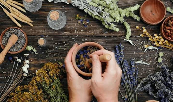 herbal supplements and kidney safety — patient and nephrologist reviewing herbal supplement ingredient list for CKD safety assessment
