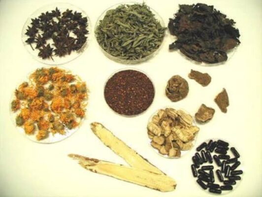 herbal supplements and kidney safety — various herbal supplement bottles and dried herbs with warning about kidney toxicity in CKD patients