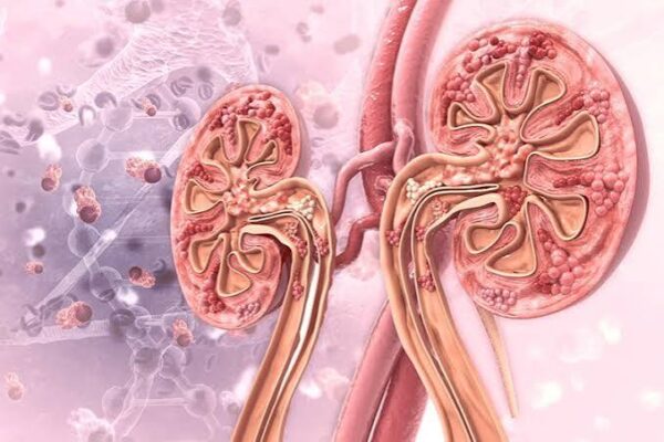 High blood pressure and kidney health — diagram showing hypertensive nephropathy and kidney damage cycle