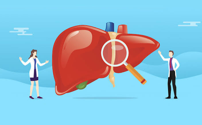 how the liver works
