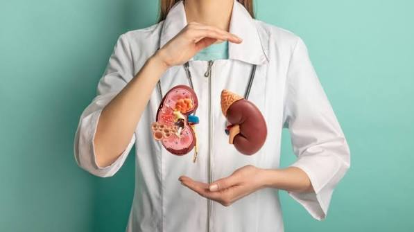 how to review kidney health supplements safely — CKD patient conducting a structured evidence review of kidney health supplement labels and ingredient lists