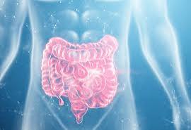 IBS trigger diary food symptoms stress sleep hormone cycle tracking FODMAP personal triggers gut health