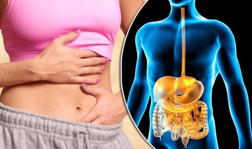 Treatment comparison for IBS vs IBD showing different therapeutic approaches