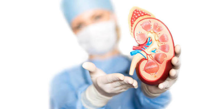 Kidney checkup checklist showing eGFR, ACR, blood pressure and medication review items