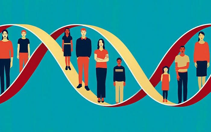 Inherited kidney disease conditions — ADPKD, Alport syndrome, and APOL1 variants with screening and treatment options for families
