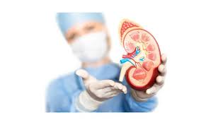 KDIGO recommended kidney function monitoring frequency table by eGFR and ACR category