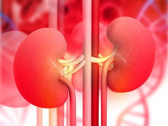 kidney disease and anemia — nurse administering intravenous iron infusion to CKD patient at dialysis center