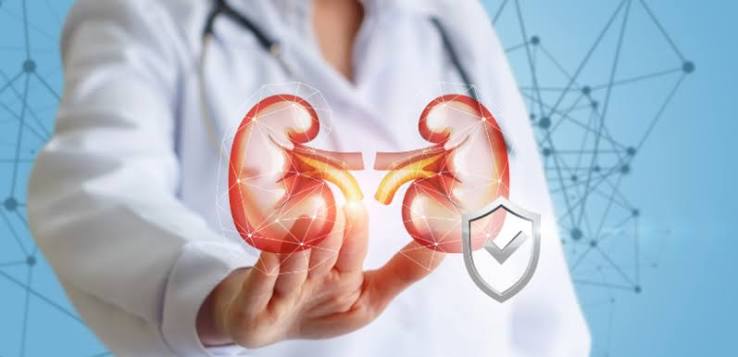 kidney disease and diabetes — patient reviewing UACR and eGFR results with nephrologist at diabetic kidney disease monitoring appointment