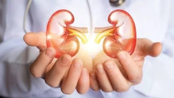 kidney disease prevention diet lifestyle NSAID avoidance hydration exercise