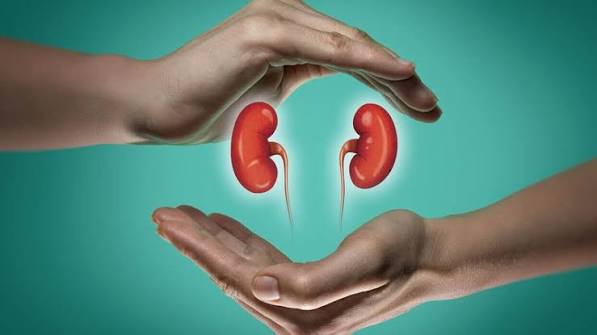 Reference chart of kidney health numbers every adult should know including eGFR UACR creatinine and blood pressure ranges