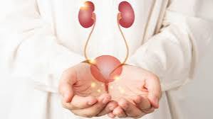 Comparison diagram showing kidney health vs urinary health differences in symptoms, tests, and specialists