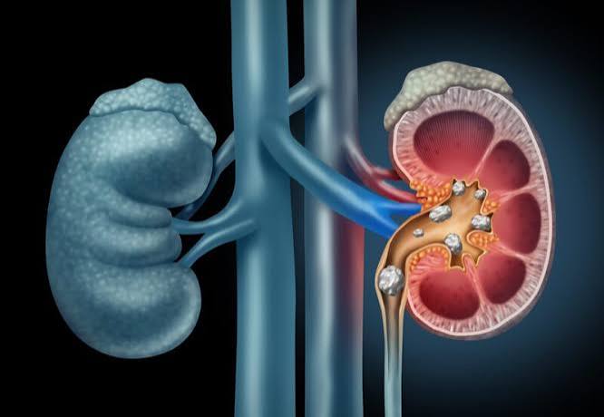 Guide to tracking and interpreting kidney health numbers including eGFR trends and UACR patterns over time