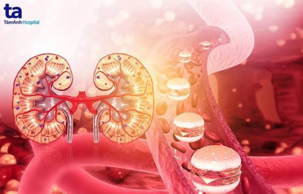why kidney patients should review supplements carefully — CKD patients reviewing supplement labels for dangerous ingredients including potassium magnesium and nephrotoxic herbs