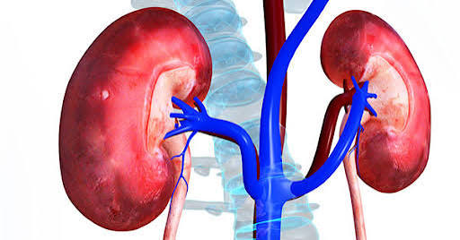 kidney transplant evaluation what to know — transplant team reviewing patient medical records and test results at multidisciplinary evaluation meeting