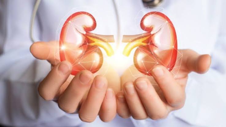 Decision chart for determining whether a symptom or finding is a kidney health or urinary health issue