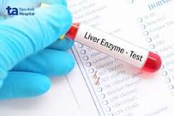 liver and digestive health numbers every adult should know — reference guide