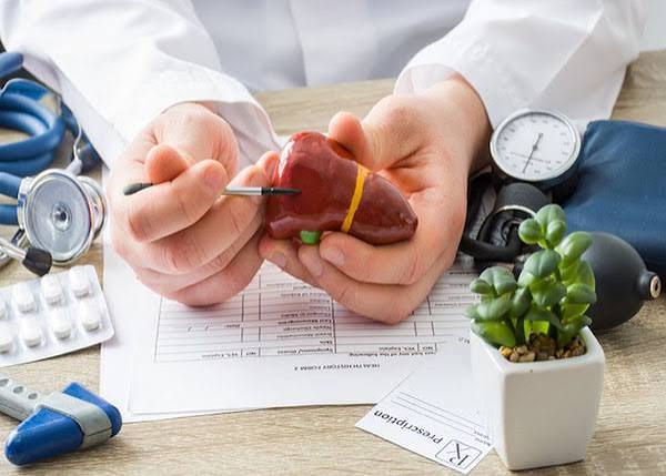 liver-function-tests-explained-body — liver blood test results interpretation bilirubin albumin ALT AST patterns
