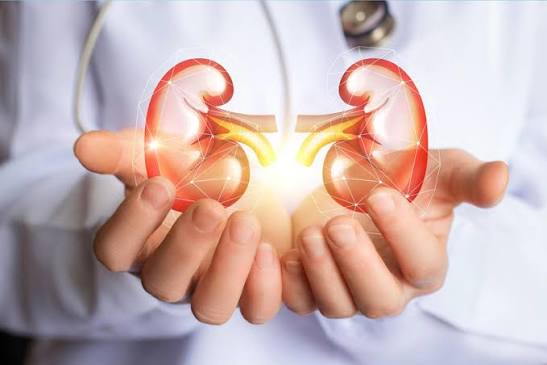 living kidney donation — laparoscopic nephrectomy surgical instruments used for minimally invasive kidney removal in living donors