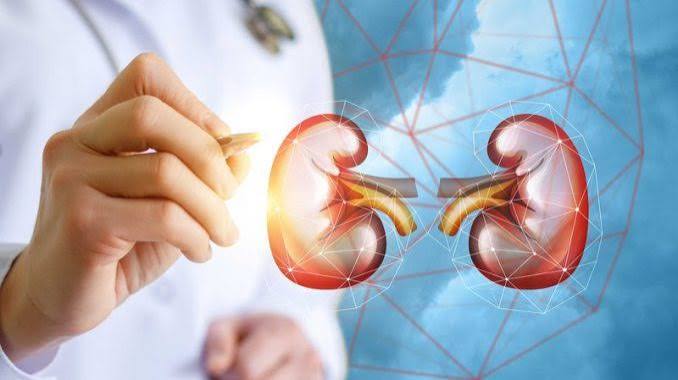 long-term kidney care plan — CKD patient reviewing their organized care binder with lab results, blood pressure log, and medication list