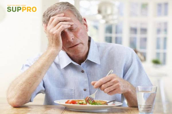 loss of appetite and digestive health — anorexia from gastrointestinal conditions including liver disease, gastroparesis, and cancer