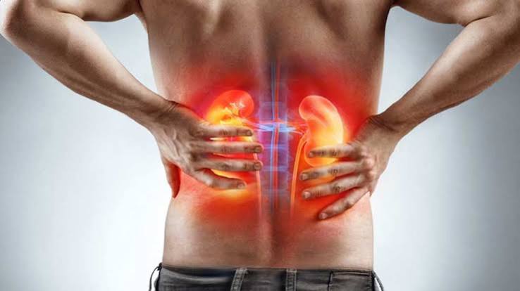 lower back pain kidney health stones infection cancer guide