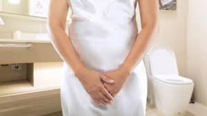 menopause and urinary symptoms — diagram showing how estrogen decline during menopause affects the urogenital tissues and produces urgency, frequency, stress incontinence, and recurrent UTIs