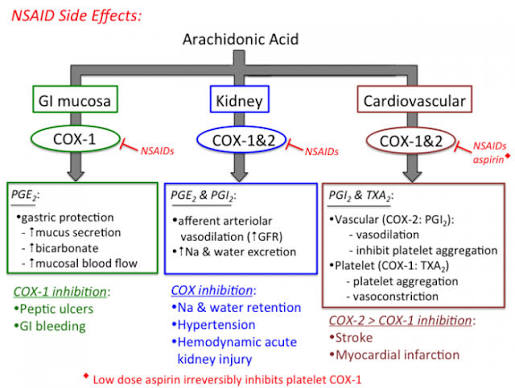 NSAIDs and kidney risk — diagram showing how NSAIDs inhibit renal prostaglandins causing afferent arteriolar vasoconstriction and reduced GFR in CKD