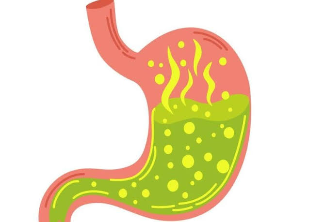 persistent-hiccups-and-digestive-health-body — phrenic nerve diaphragm vagus nerve causes of chronic hiccups