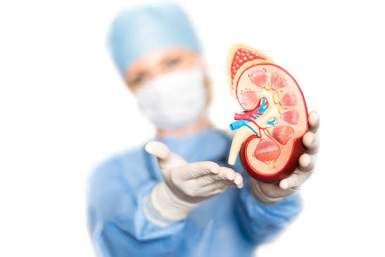 phosphorus and kidney disease — diagram showing kidney and high-phosphorus foods to limit in CKD
