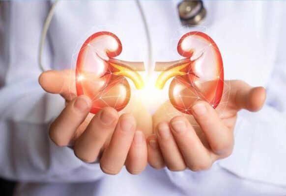 potassium and kidney disease high potassium foods bananas and dietary restriction