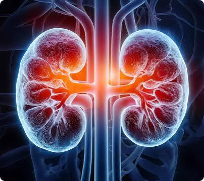 preventive kidney care for older adults — older adult taking a home blood pressure reading with a home monitor