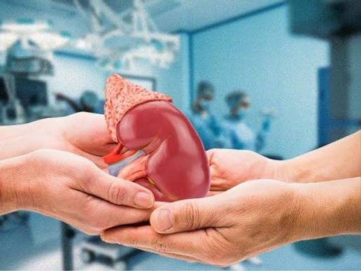 preventive kidney care for older adults — older adult discussing blood pressure monitoring results and kidney health risk factors with a primary care provider