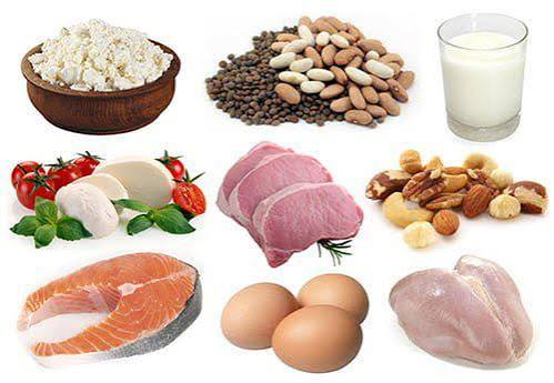 protein sources for CKD patients including egg whites, fish, and plant-based proteins