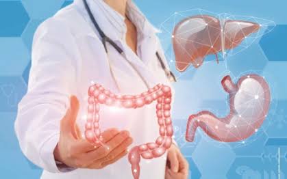 signs of a healthy digestive system including stool patterns, microbiome diversity, and absorption markers