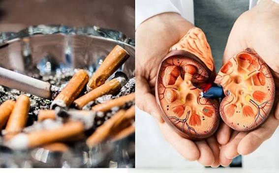 smoking kidney disease risk CKD proteinuria GFR decline RAAS nicotine renal vasoconstriction oxidative stress