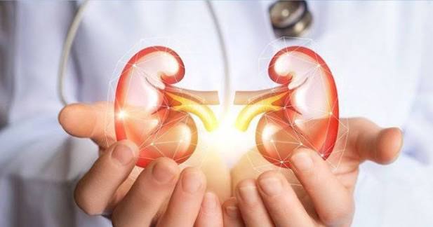 stage 5 kidney disease hemodialysis peritoneal dialysis transplant options