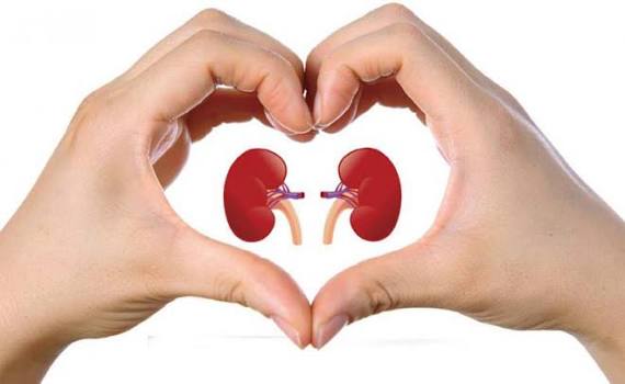 cortisol stress blood pressure kidney health CKD HPA axis RAAS activation antihypertensive