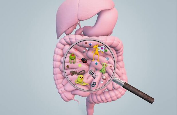 Sugary foods and beverages including soft drinks, candy, and pastries that negatively affect gut microbiome health