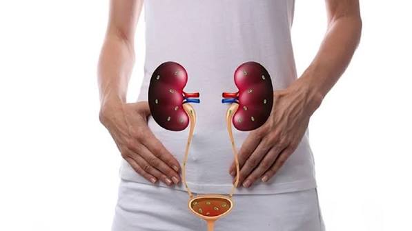 urinary tract infection symptoms and causes — diagram showing the urinary tract with bacteria entering the bladder