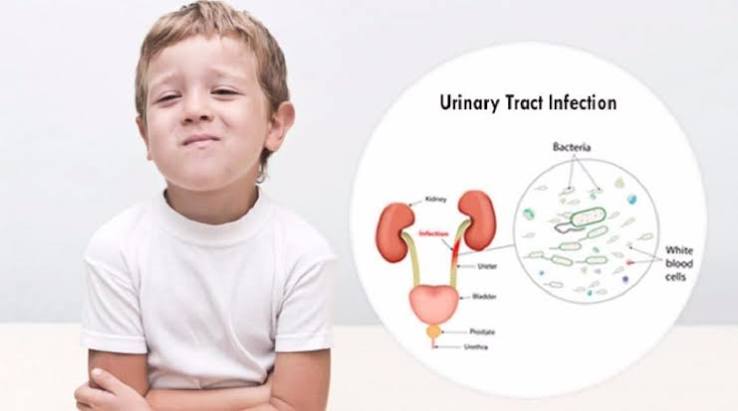 urinary tract infection symptoms and causes — illustration of bacteria entering the bladder through the urethra