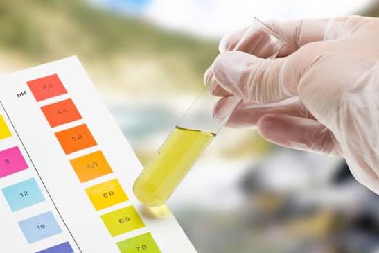 urine color chart pale yellow amber red brown green color spectrum