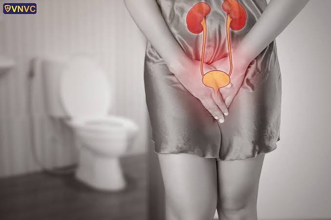 UTI symptoms in adults — illustration of bladder inflammation causing the classic burning, urgency, and frequency symptoms of a urinary tract infection