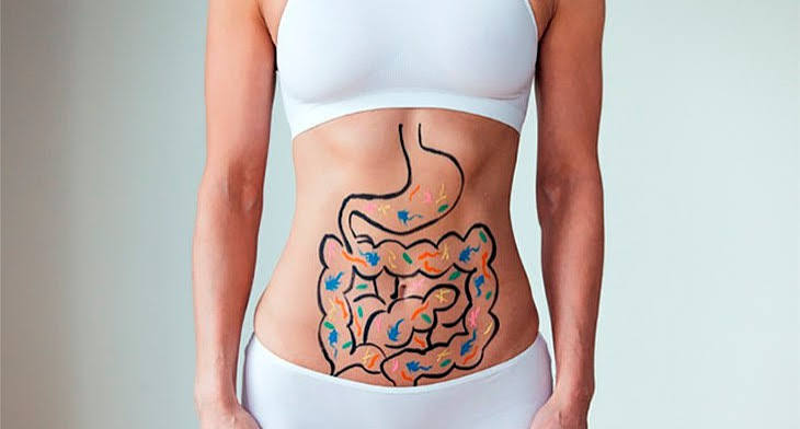 what-is-digestive-health