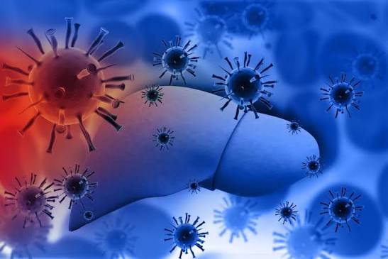 what-is-hepatitis-body — hepatitis symptoms jaundice fatigue nausea liver inflammation diagnosis blood test