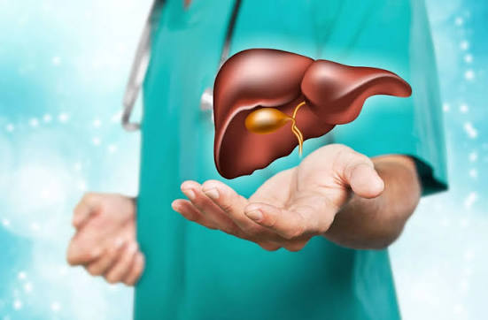 what-is-liver-health-body