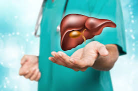 Annual liver and digestive health checklist — adult reviewing preventive health screening schedule