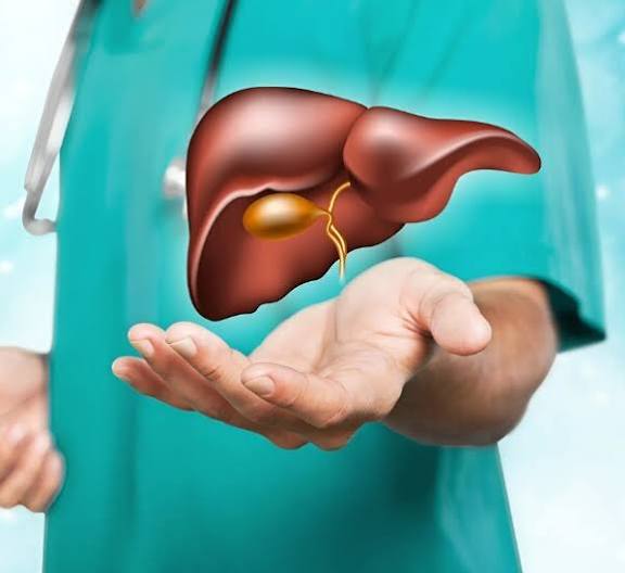 Annual liver and digestive health checklist — featured image showing preventive health monitoring