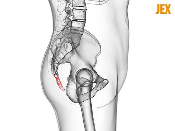 Bone pain what adults should know — diagram of bone anatomy fracture stress fracture and metastatic bone pain patterns