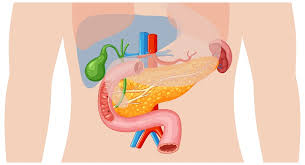 Variety of digestive medications including antacids, proton pump inhibitors, H2 blockers, and laxatives laid out on a white surface representing the main categories of digestive medications for adults